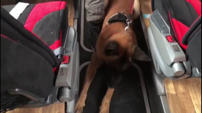 TEM’de yolcu otobüsünde 98 kilo uyuşturucu ele geçirildi