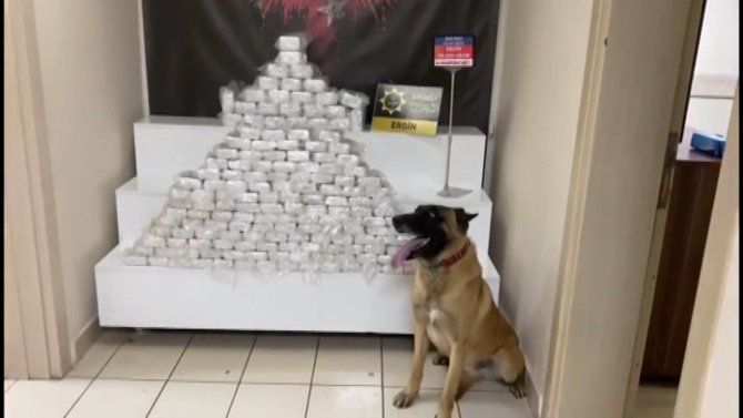 TEM’de yolcu otobüsünde 98 kilo uyuşturucu ele geçirildi