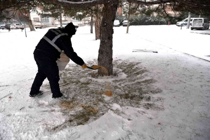 Selçuklu Belediyesi sokak hayvanlarına yem ve mama bırakıyor