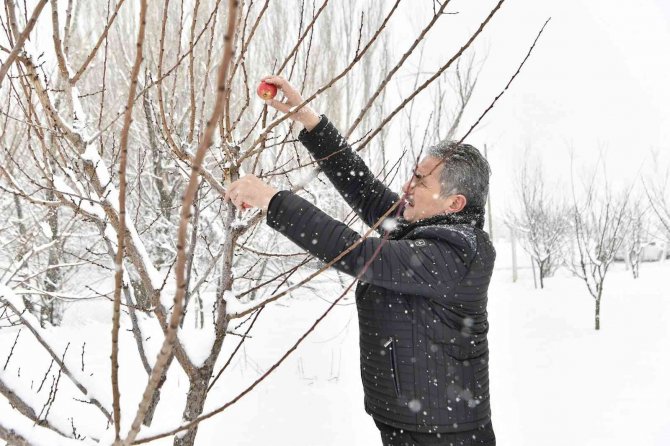 Sokak hayvanlarına dört mevsim destek