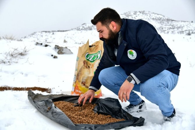 Sokak hayvanlarına dört mevsim destek