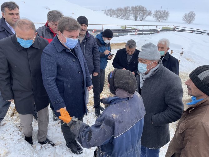 Aksaray'da ağılın çatısı çöktü, 30 koyun telef oldu
