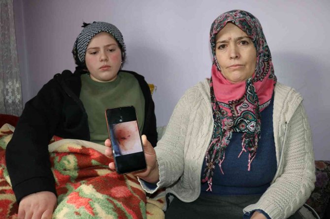 Başıboş köpek dehşeti