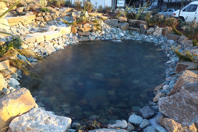 Trakya'da "kuru soğuk" yaşamı zorlaştırıyor