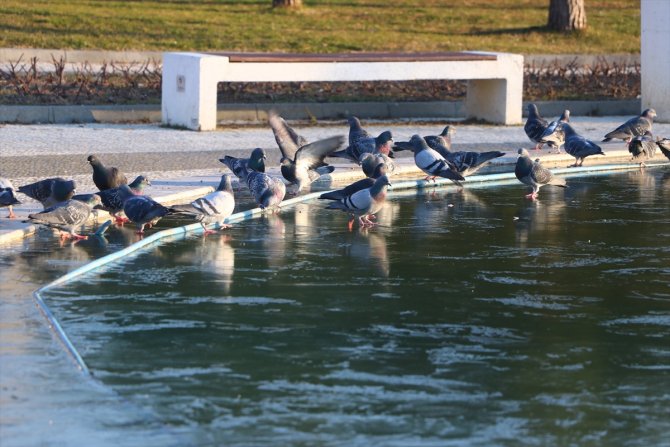 Trakya'da "kuru soğuk" yaşamı zorlaştırıyor