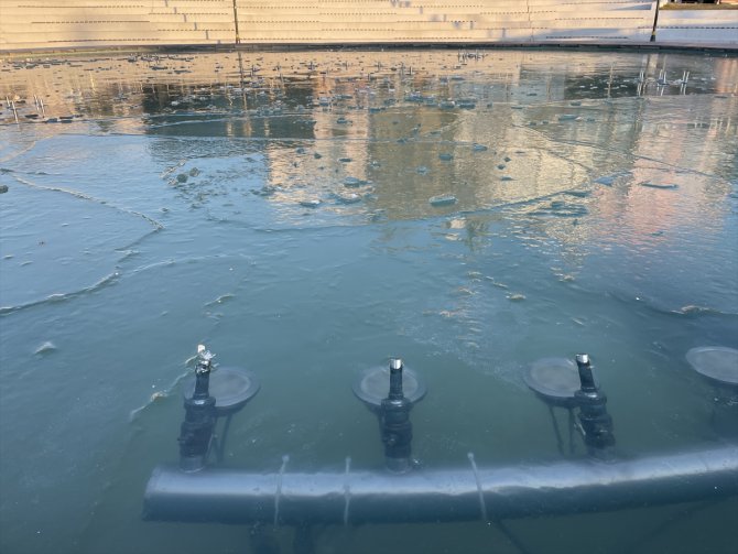 Trakya'da "kuru soğuk" yaşamı zorlaştırıyor