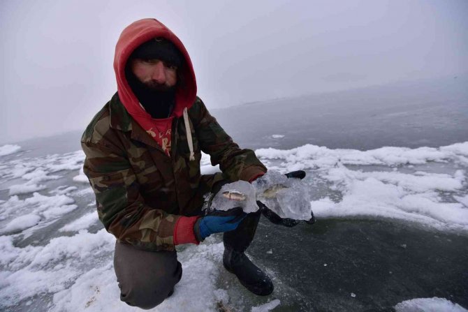 Göldeki balıklar suyla beraber dondu