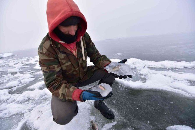 Göldeki balıklar suyla beraber dondu