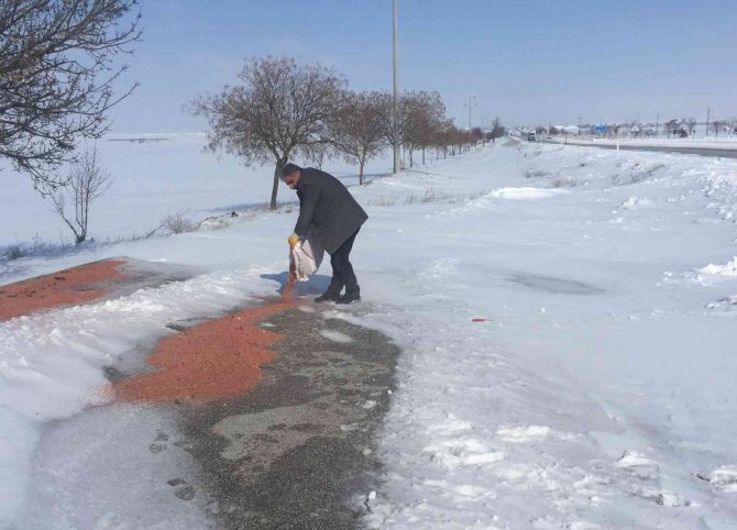 Kulu’da yaban hayvanlarına yem bırakıldı
