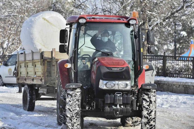 Ankara’da yüzde 100 hibe hayvan yem desteği başladı