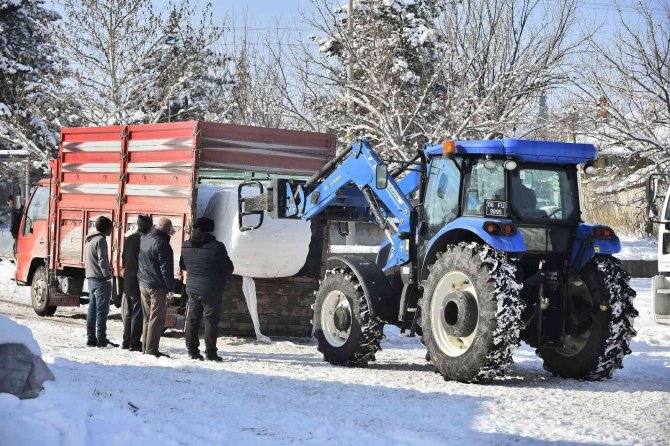 Ankara’da yüzde 100 hibe hayvan yem desteği başladı