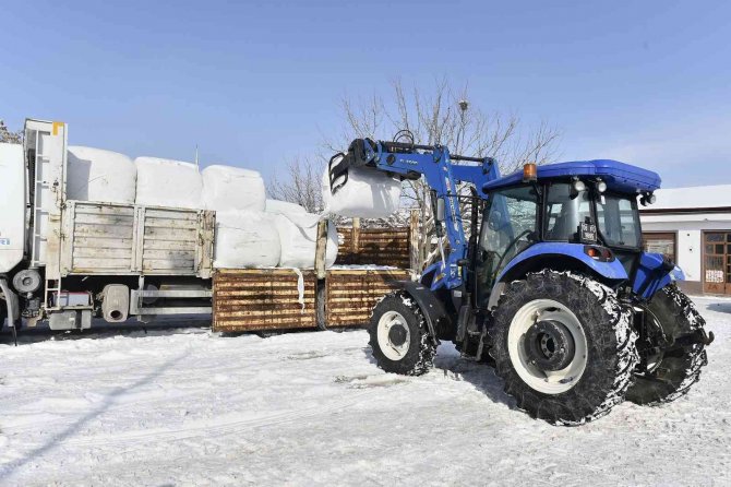 Ankara’da yüzde 100 hibe hayvan yem desteği başladı