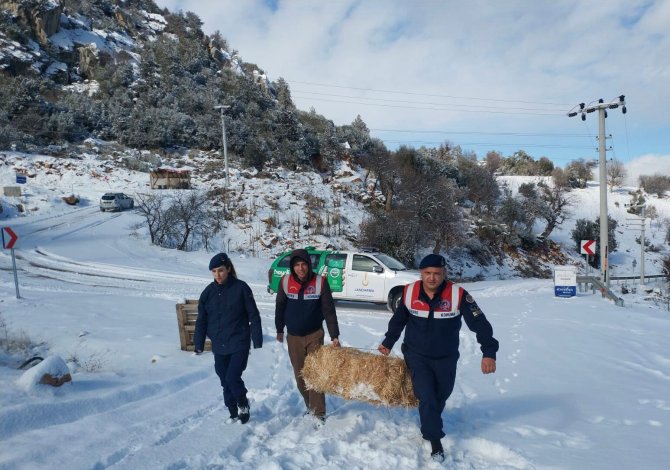Antalya’da jandarma, soğuk kış günlerinde sokak hayvanlarını unutmadı