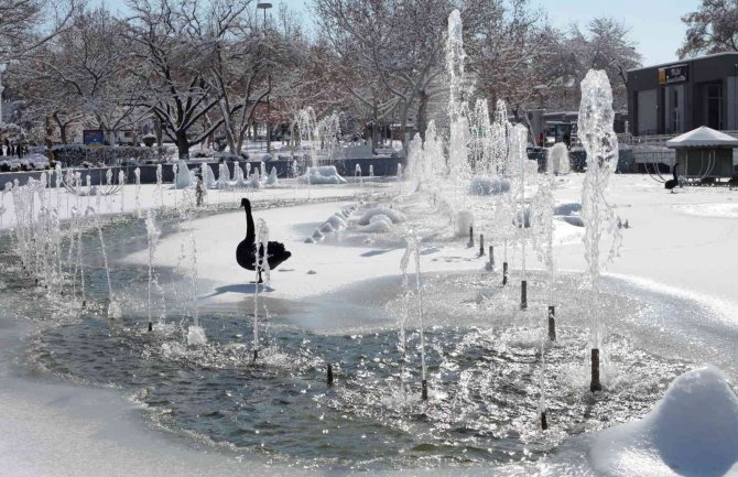 Buz tutan havuzda kuğuların renkli görüntüleri