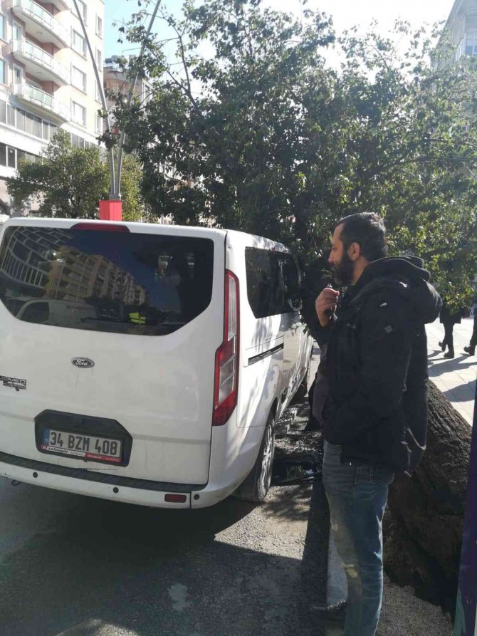 Hatay’da park halindeki aracın üzerine ağaç devrildi