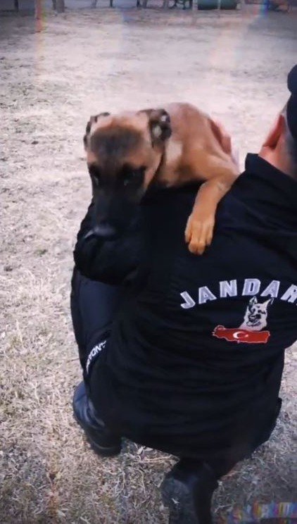 Jandarmanın görev köpekleri eğitimlerine devam ediyor