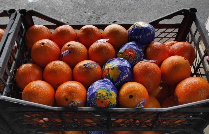 Kar yağışı İstanbul’daki sebze ve meyve hallerini etkiledi