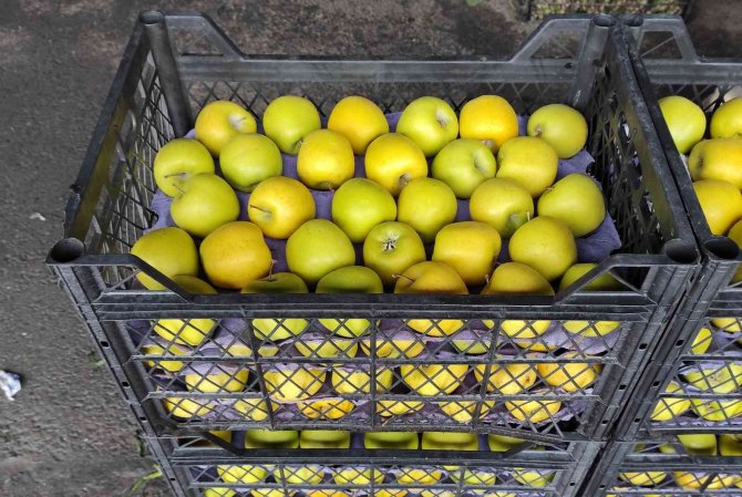 Kar yağışı İstanbul’daki sebze ve meyve hallerini etkiledi