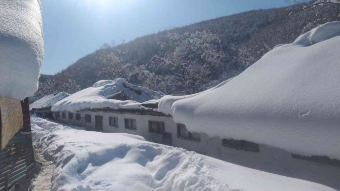 Kardan çatısı çöken ahırlardaki 20’in üzerinde koyun ve 9 kuzu telef oldu