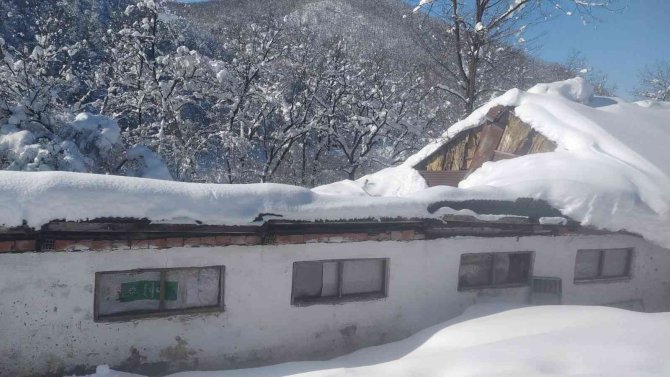 Kardan çatısı çöken ahırlardaki 20’in üzerinde koyun ve 9 kuzu telef oldu