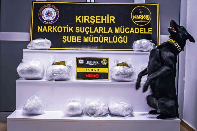 Narkotik Köpeği ’Çine’ 8 kilo uyuşturucu yakaladı