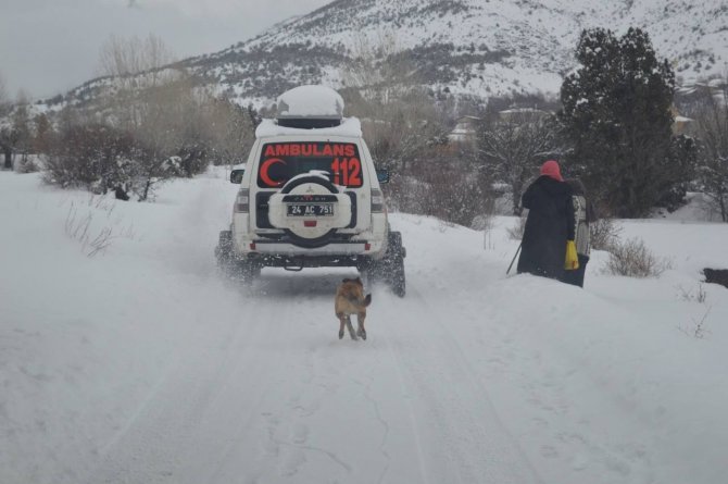Sağlık ekipleri karlı yolları aşarak Covid-19 aşısı yapıyor