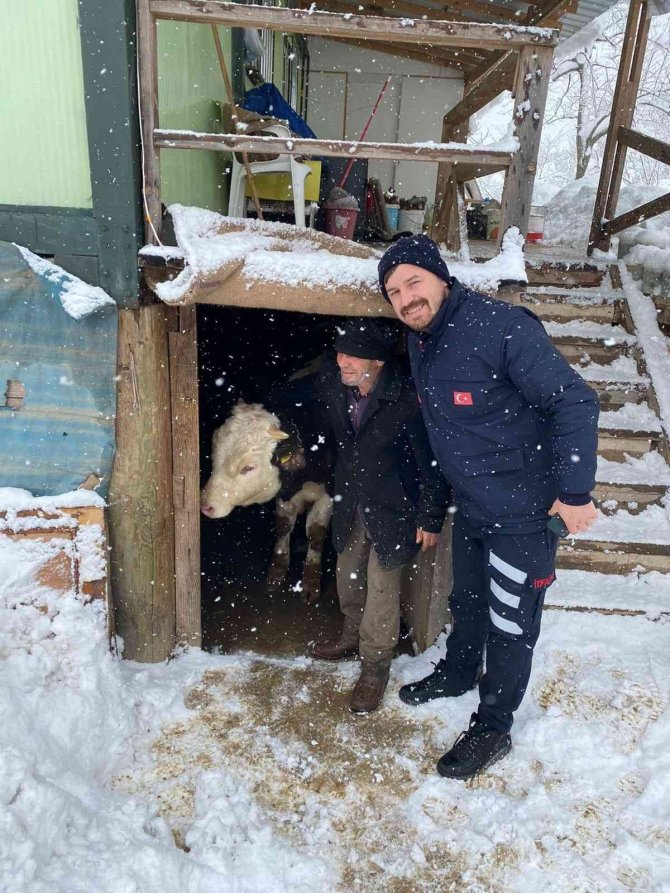 Yem yediği behniye sırt üstü düştü