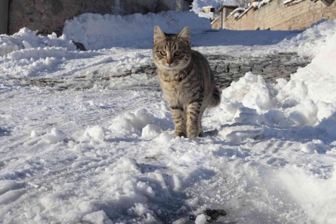 5 bin yıllık tarihi Sille Mahallesinden kartpostallık görüntüler