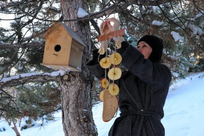 AK Parti’den can dostlar için büyük seferberlik