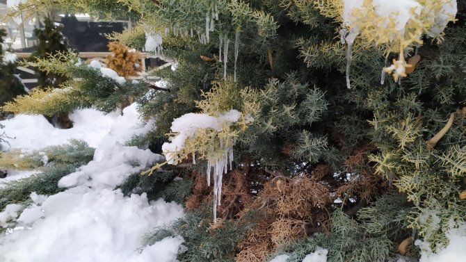 Konya soğuklukta rekor kırdı! İşte eksi 27'yi gören ilçe!