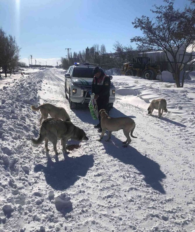 Konya’da karla mücadele devam ediyor