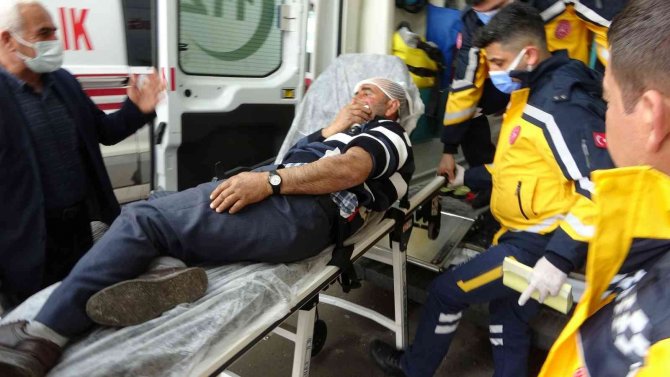 Köpek saldırısına uğrayan kişi yaralandı