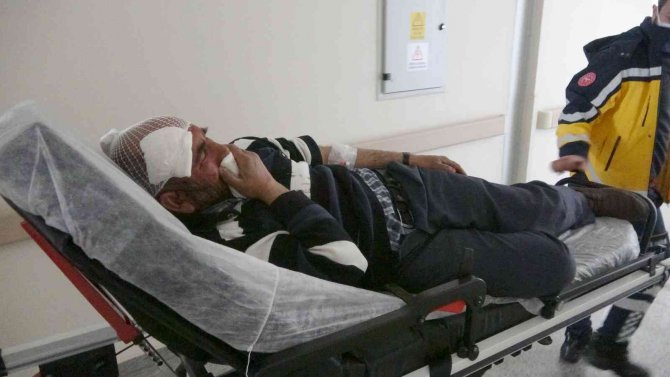 Köpek saldırısına uğrayan kişi yaralandı