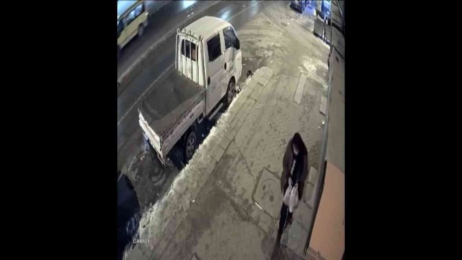 Sokak hayvanlarının mamasını çalan şahıs güvenlik kameralarına yansıdı