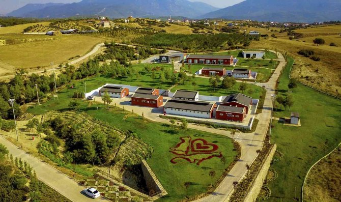 Büyükşehir 3 yılda 50 bin 576 sokak hayvanını misafir etti