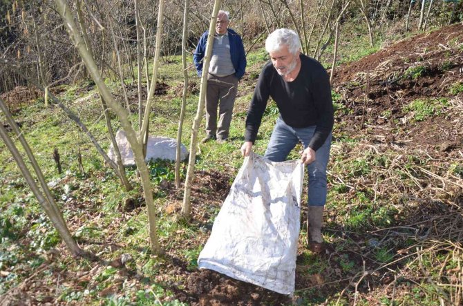 ’Hayvan gübresi’ne talep arttı, fiyatı ikiye katlandı