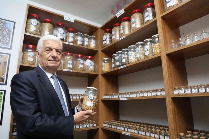 Türkiye’nin 80 iline yerel tohum dağıtımı 1 Şubat’ta başlıyor