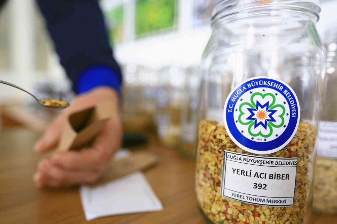 Türkiye’nin 80 iline yerel tohum dağıtımı 1 Şubat’ta başlıyor