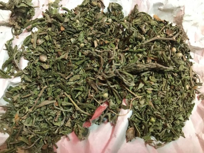 Zehir taciri, satışa hazır haldeki uyuşturucularla kıskıvrak yakalandı