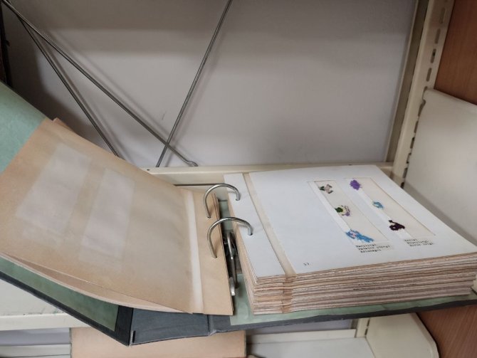 1900’lü yıllarda elle yazılan tezler akademik çalışmalara örnek oluyor