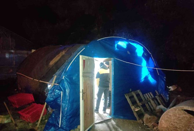 Horoz dövüşü operasyonu: 8 kişi yakalandı