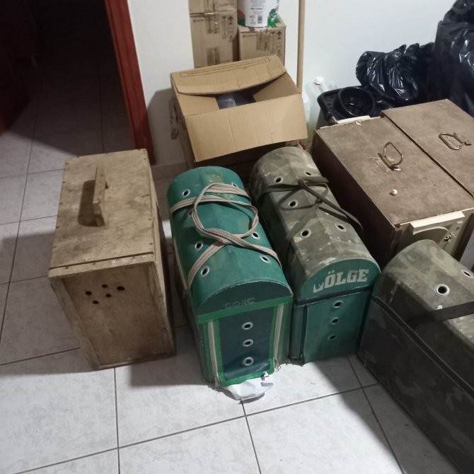 Horoz dövüşü operasyonu: 8 kişi yakalandı