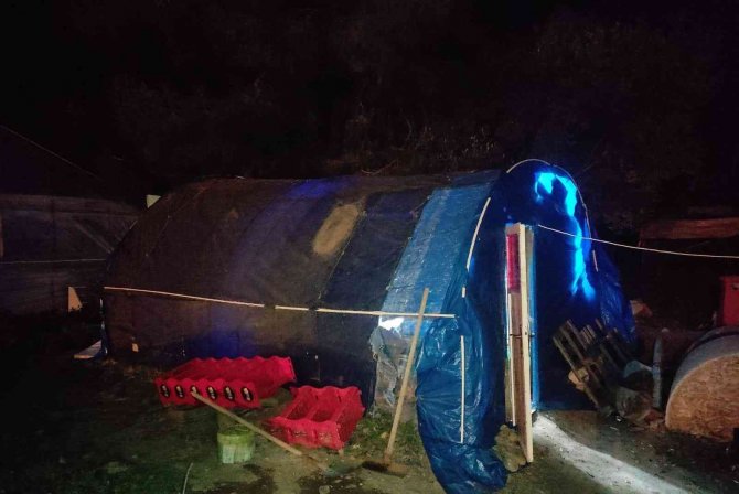 Horoz dövüşü operasyonu: 8 kişi yakalandı