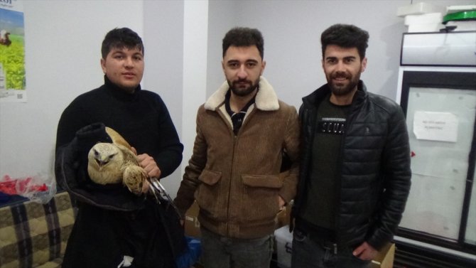 Konya'da donmak üzere olan kartal kurtarıldı