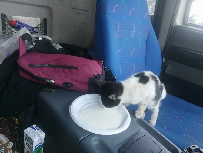 Kar temizlerken bulduğu kediye gözü gibi bakıyor