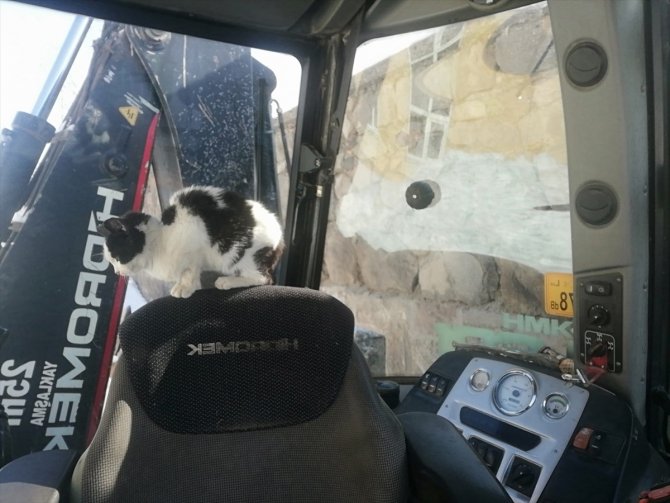 Kar temizlerken bulduğu kediye gözü gibi bakıyor