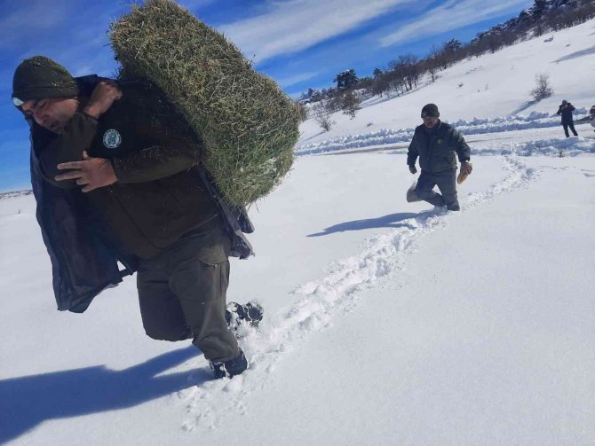 Konya’da yiyecek bulmakta zorlanan yaban hayvanları için doğaya yiyecek takviyesi