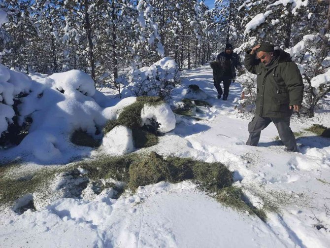 Konya’da yiyecek bulmakta zorlanan yaban hayvanları için doğaya yiyecek takviyesi