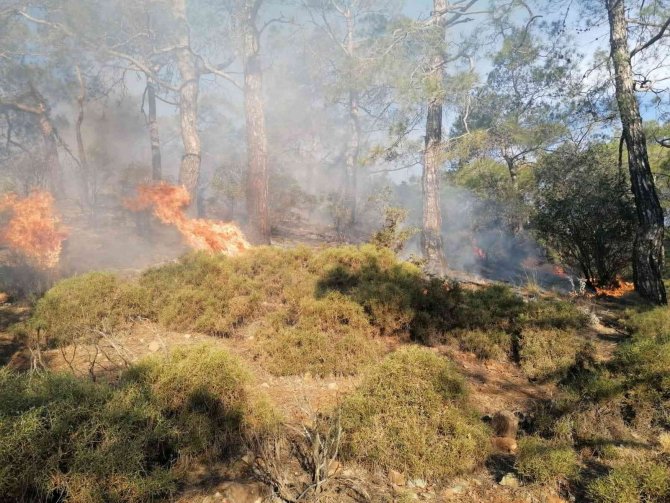 Orman yangınının yayılmasına jandarma engel oldu