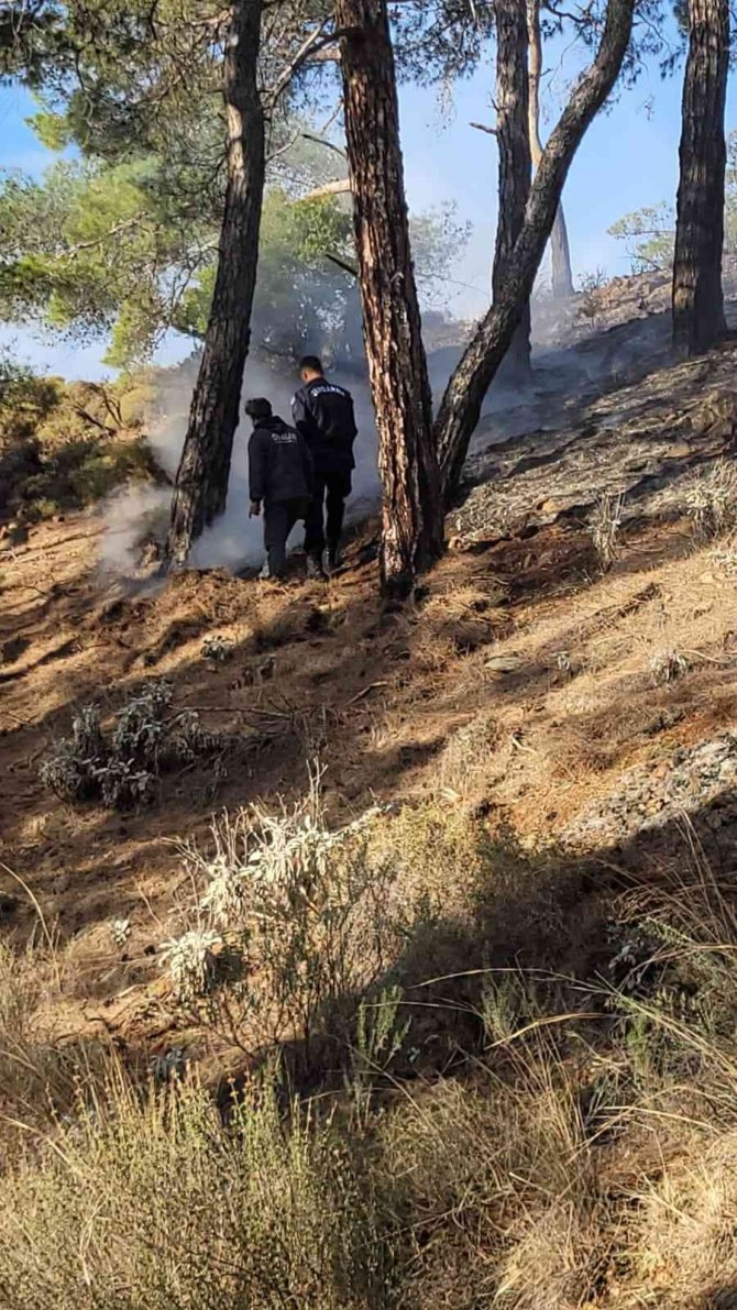 Orman yangınının yayılmasına jandarma engel oldu